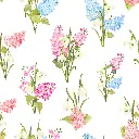 hiacynt.webp